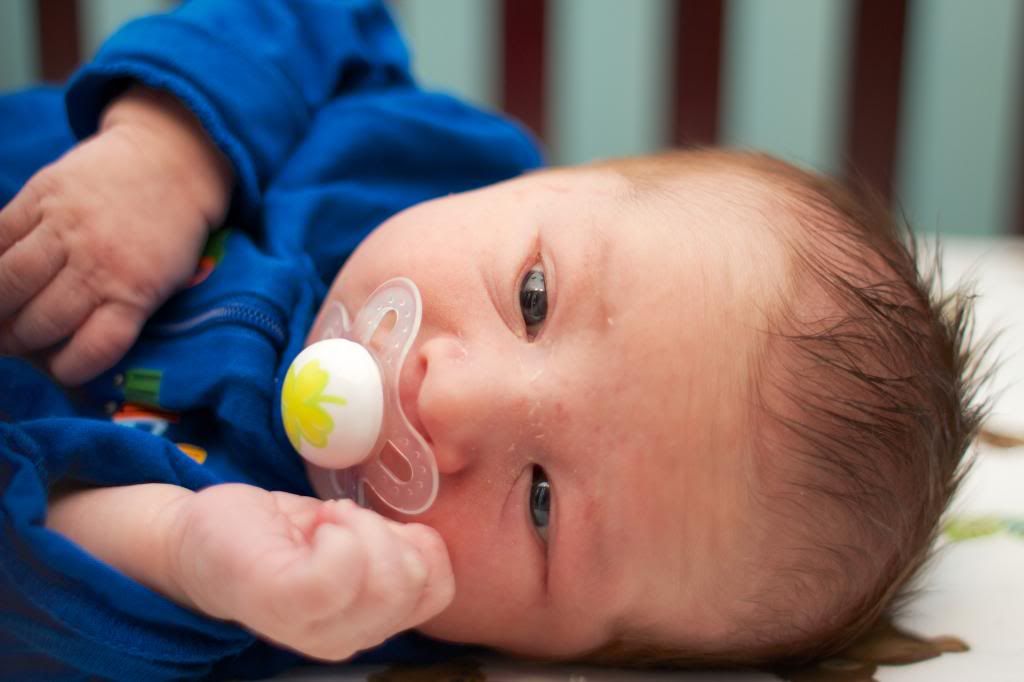 Anyone have a posto slow BBT rise that I can stalk? — The Bump